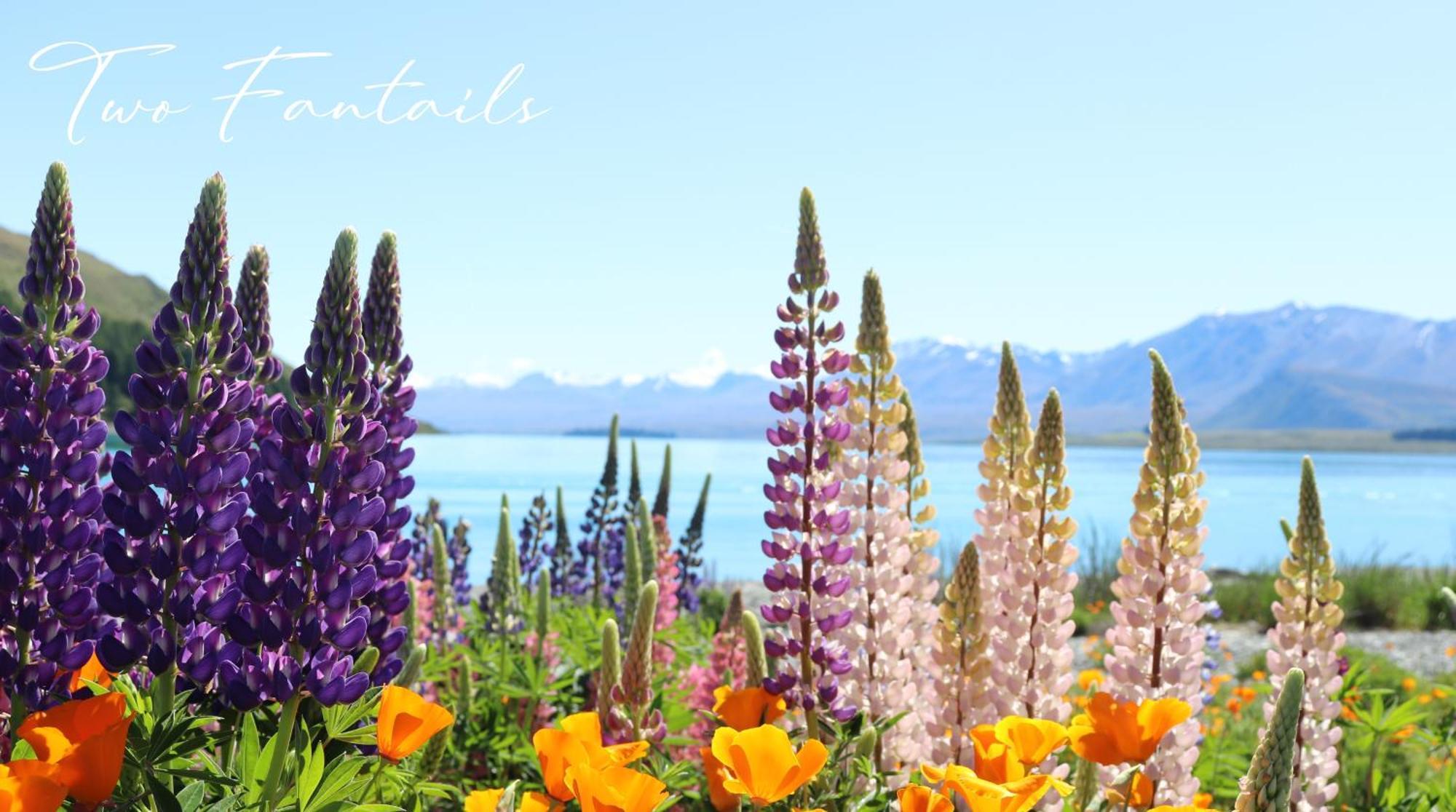 Two Fantails - Mountain Views Villa Lake Tekapo Luaran gambar